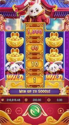 5rk · Fortune Rabbit